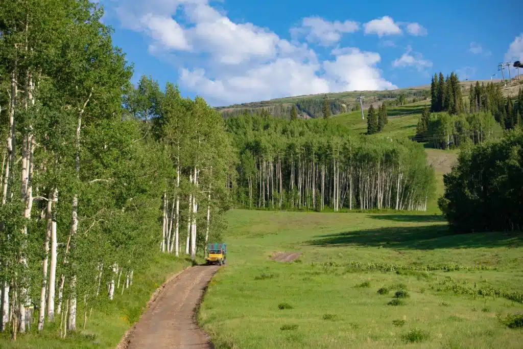 jeep comes down the road