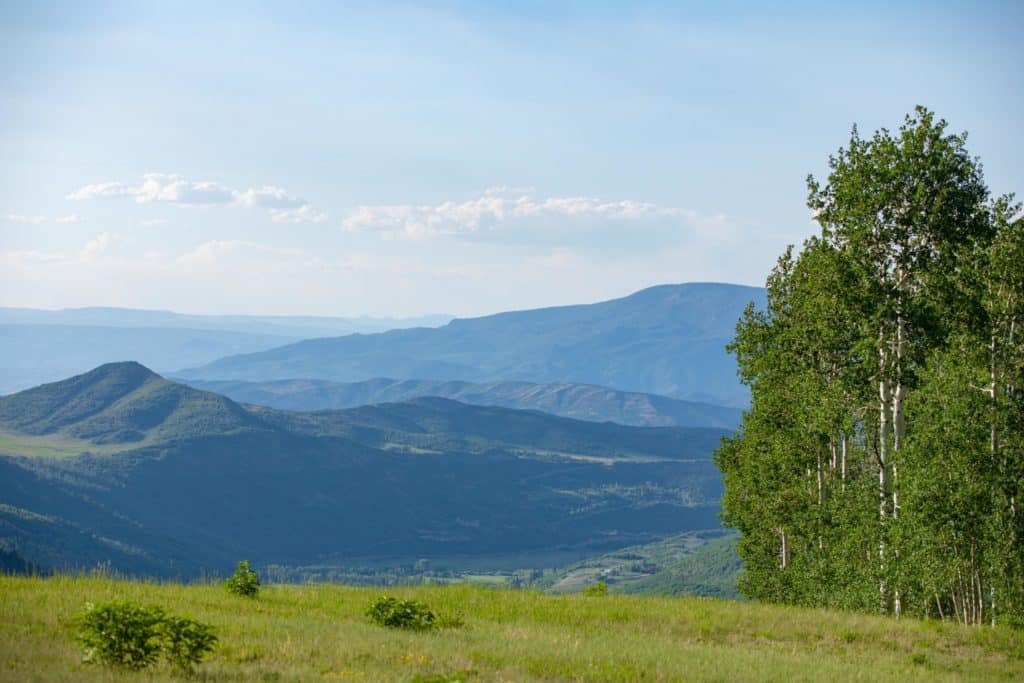 scenic shot of forest and mountains