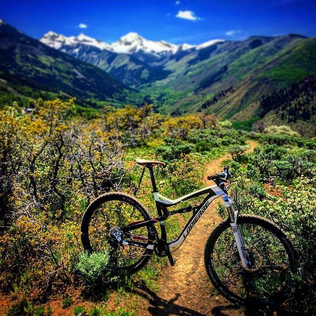 bike on a trail