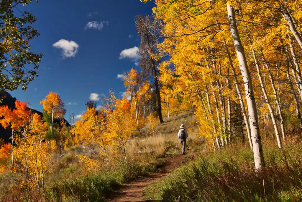 Aspen Snowmass Guided Hiking Adventures: Aspen Colors